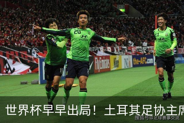 世界杯早早出局！土耳其足协主席：所有国脚们仍将获赠海景别墅