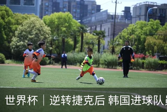 世界杯｜逆转捷克后 韩国进球队员说了什么？