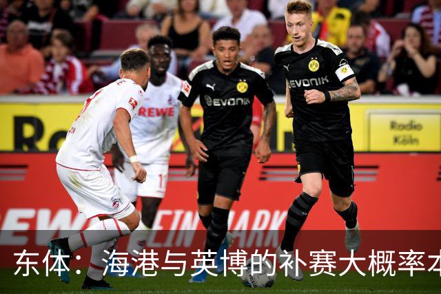 东体：海港与英博的补赛大概率本月进行 台风天影响球迷远征重庆