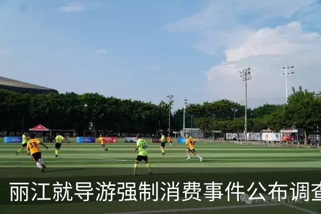 丽江就导游强制消费事件公布调查与处理结果