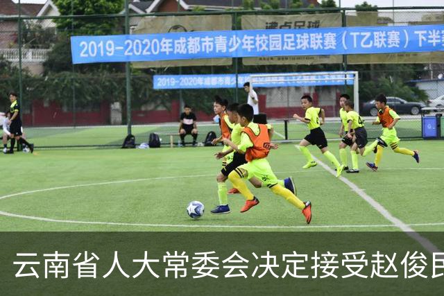 云南省人大常委会决定接受赵俊民辞去副省长职务