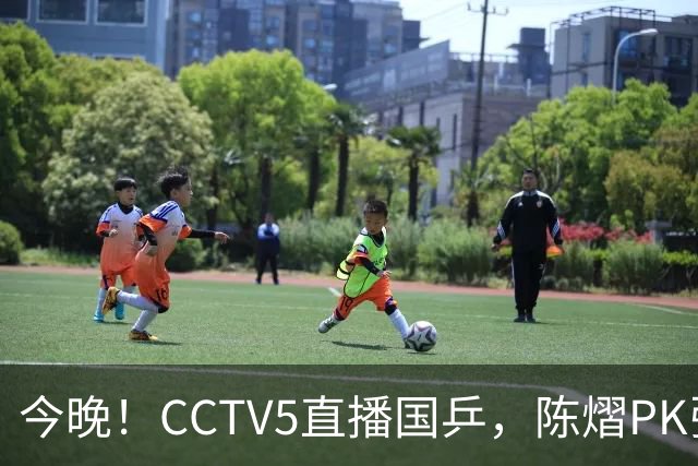 今晚！CCTV5直播国乒，陈熠PK张本美和，奥运冠军王楚钦+孙颖莎休战