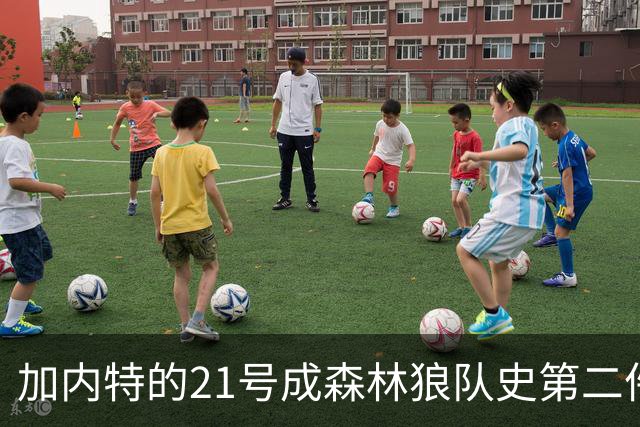 加内特的21号成森林狼队史第二件退役的球衣 首件是其老队友希利