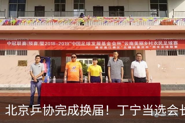 北京乒协完成换届！丁宁当选会长 刘国正等人当选副会长