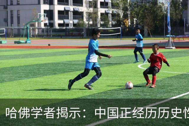 哈佛学者揭示：中国正经历历史性的回归