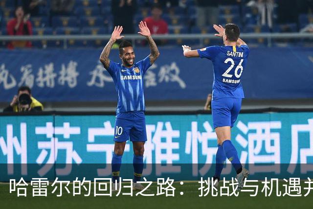 哈雷尔的回归之路：挑战与机遇并存