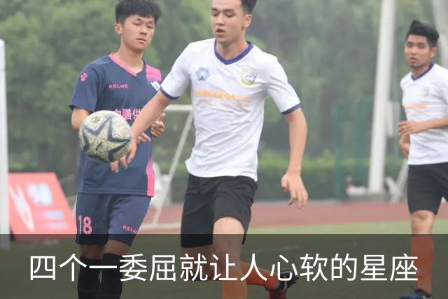 四个一委屈就让人心软的星座