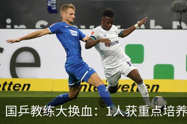 国乒教练大换血：1人获重点培养，不是马龙，也不是王楚钦