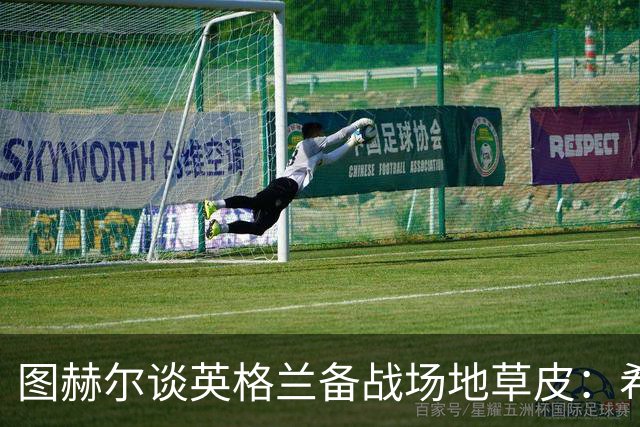 图赫尔谈英格兰备战场地草皮：希望它没问题，这也让我有些担心