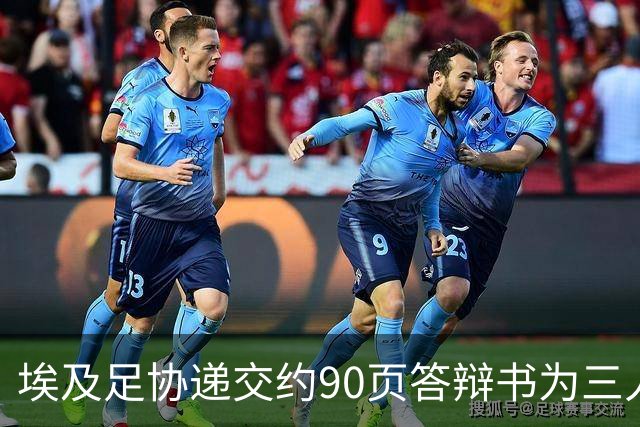 埃及足协递交约90页答辩书为三人辩护