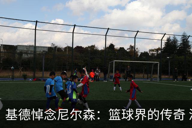 基德悼念尼尔森：篮球界的传奇 深受他独一无二的智慧所影响