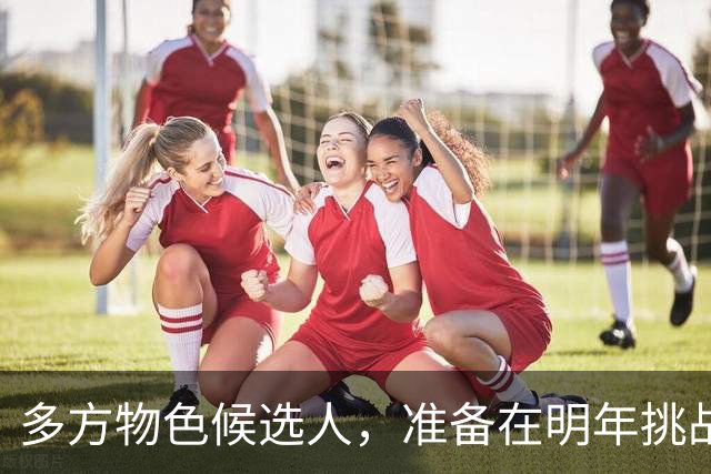多方物色候选人，准备在明年挑战国际足联主席