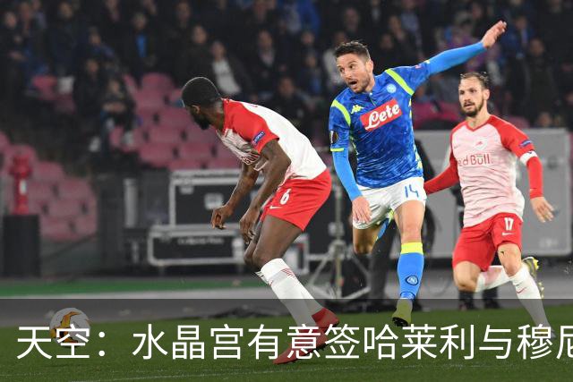 天空：水晶宫有意签哈莱利与穆尼奥斯形成竞争 然而后者未来未定