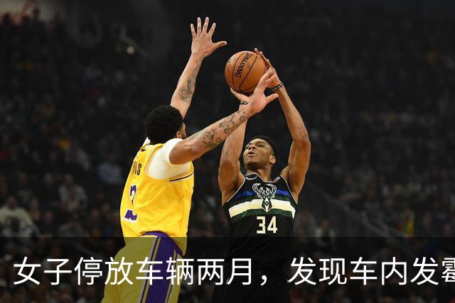 女子停放车辆两月，发现车内发霉引发过敏