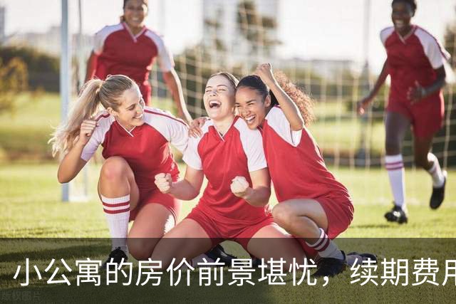 小公寓的房价前景堪忧，续期费用成新隐患