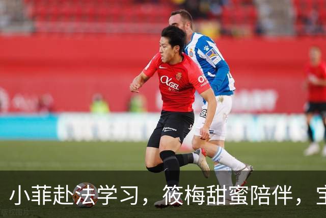 小菲赴法学习，筱梅甜蜜陪伴，宝宝萌照引热议！