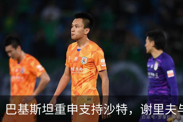 巴基斯坦重申支持沙特，谢里夫与王储紧急沟通