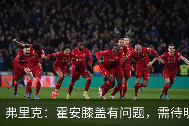 弗里克：霍安膝盖有问题，需待明日检查确认