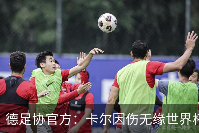 德足协官方：卡尔因伤无缘世界杯，征召韦德拉奥果入替