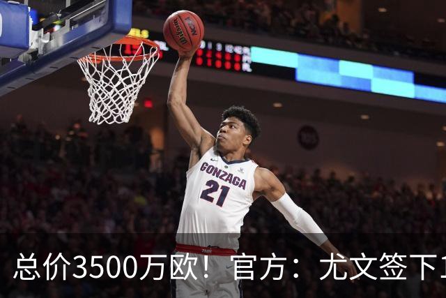 总价3500万欧！官方：尤文签下18岁波黑国脚前锋阿拉伊贝戈维奇