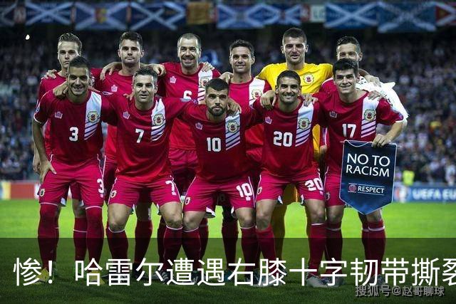 惨！哈雷尔遭遇右膝十字韧带撕裂和半月板撕裂