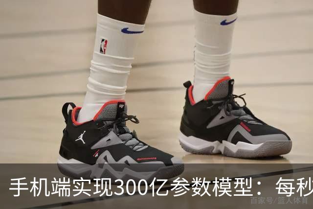 手机端实现300亿参数模型：每秒处理330个Token