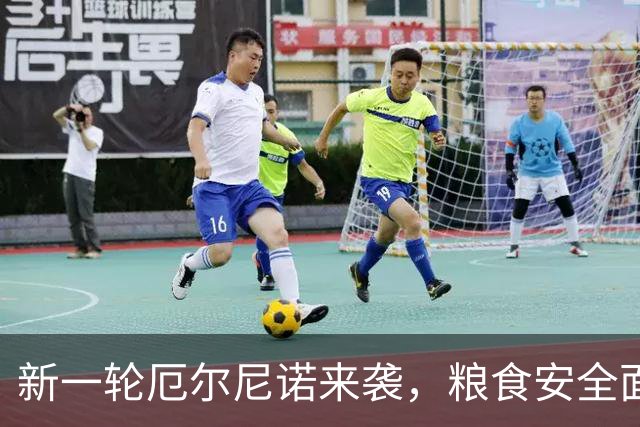 新一轮厄尔尼诺来袭，粮食安全面临新挑战