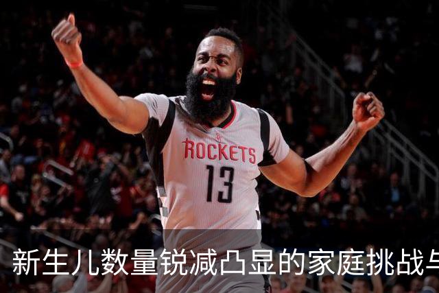 新生儿数量锐减凸显的家庭挑战与社会问题