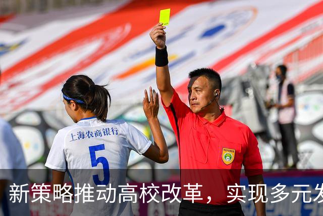 新策略推动高校改革，实现多元发展