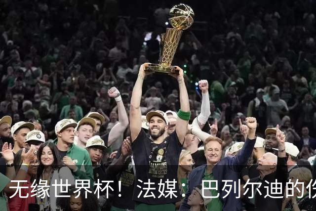 无缘世界杯！法媒：巴列尔迪的伤其实拖了好几个月，马赛评估失误