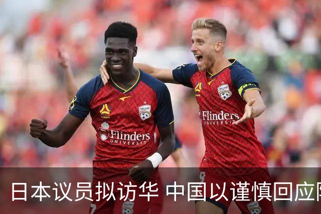 日本议员拟访华 中国以谨慎回应降温炒作