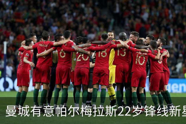 曼城有意帕尔梅拉斯22岁锋线新星，解约金1亿欧