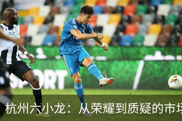 杭州六小龙：从荣耀到质疑的市场回归