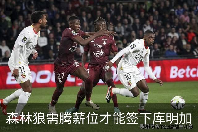 森林狼需腾薪位才能签下库明加