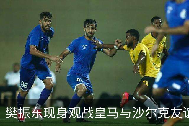 樊振东现身观战皇马与沙尔克友谊赛