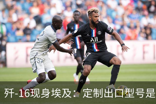 歼-16现身埃及：定制出口型号是否可行