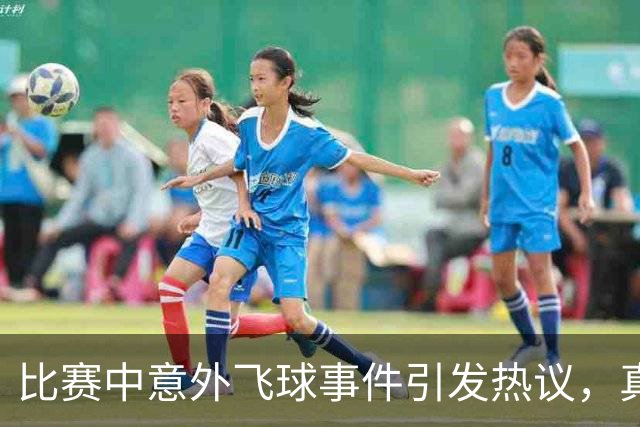 比赛中意外飞球事件引发热议，真相令人意外
