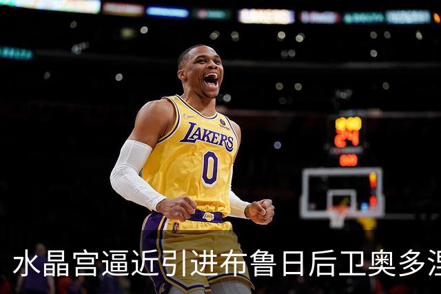 水晶宫逼近引进布鲁日后卫奥多涅斯
