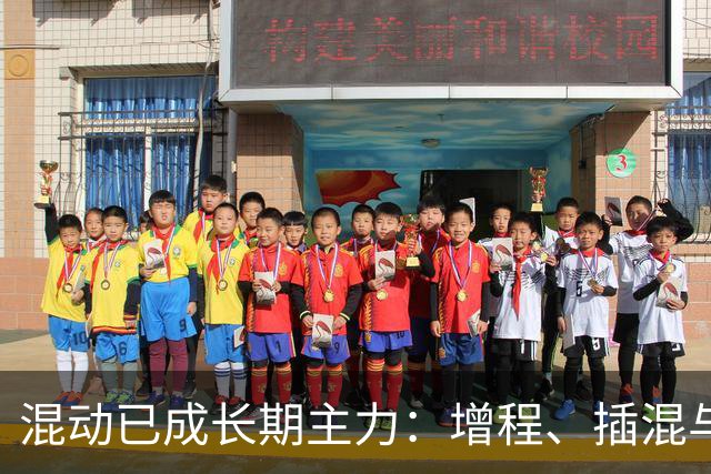混动已成长期主力：增程、插混与HEV各有定位