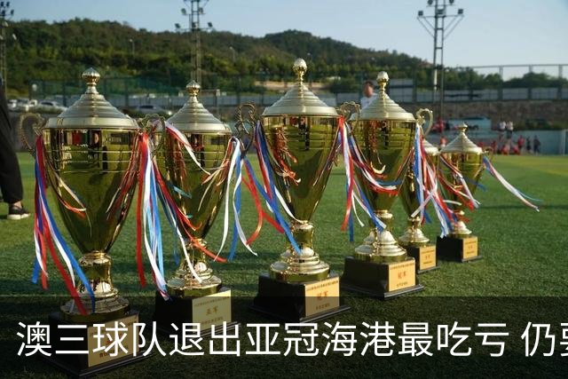 澳三球队退出亚冠海港最吃亏 仍要先参加附加赛