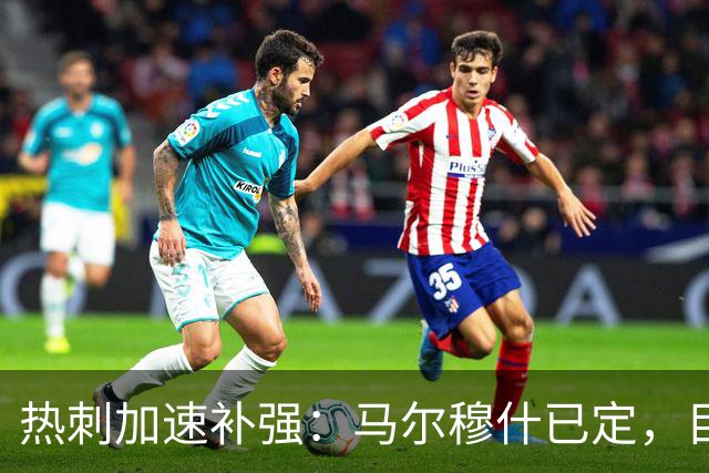 热刺加速补强：马尔穆什已定，目标锁定加克波