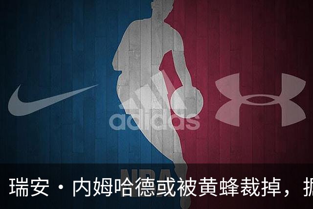 瑞安·内姆哈德或被黄蜂裁掉，掘金和热火表现出兴趣