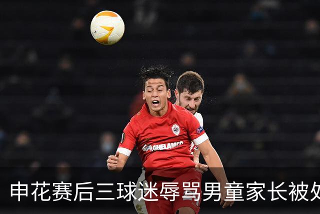 申花赛后三球迷辱骂男童家长被处置