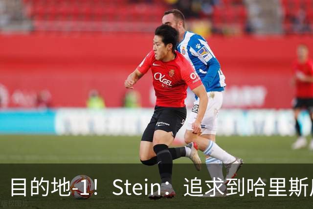 目的地-1！Stein：追求到哈里斯后 马刺预计不会再追求詹姆斯