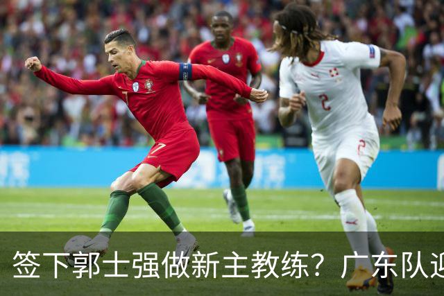 签下郭士强做新主教练？广东队迎来换帅机会，杜锋有望执教国家队