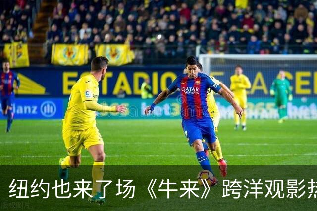 纽约也来了场《牛来》跨洋观影热