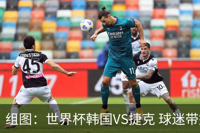 组图：世界杯韩国VS捷克 球迷带娃加油助威