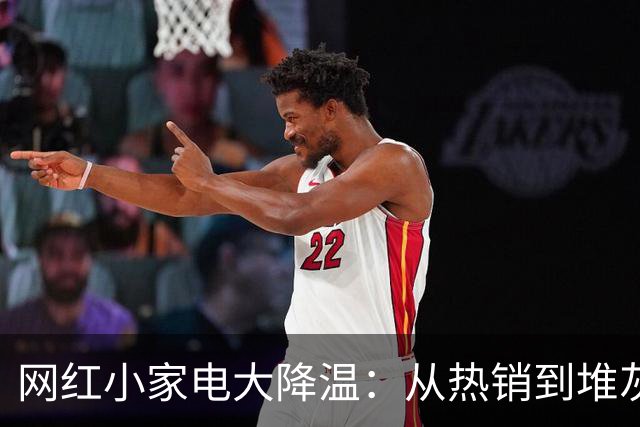 网红小家电大降温：从热销到堆灰
