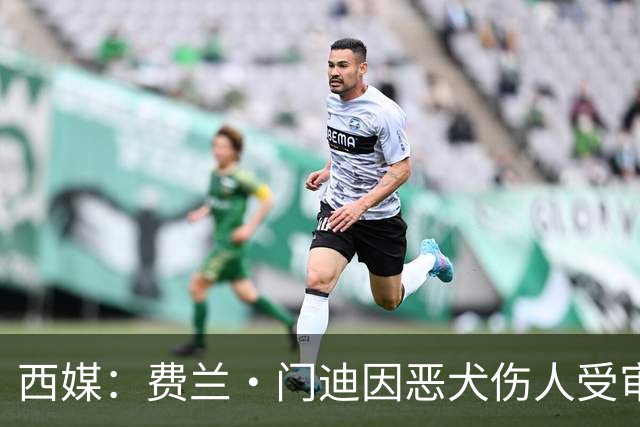 西媒：费兰·门迪因恶犬伤人受审，检方要求处以罚款和半年监禁
