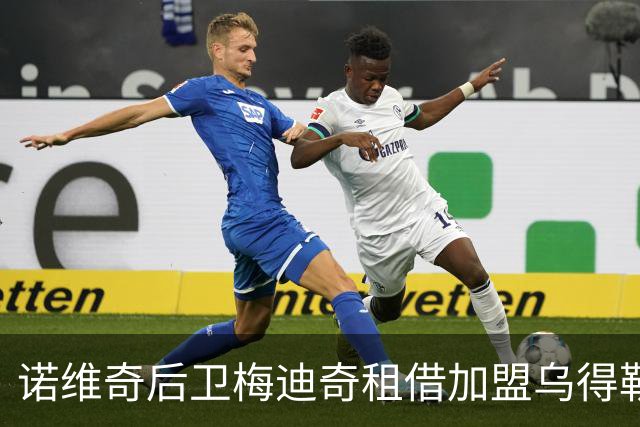 诺维奇后卫梅迪奇租借加盟乌得勒支